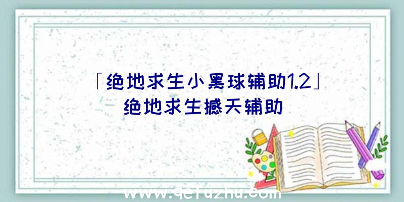 「绝地求生小黑球辅助1.2」|绝地求生撼天辅助